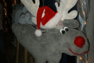 dsc02883_easy_resize_com__1_.jpg