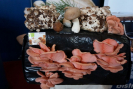 dsc03474.jpg