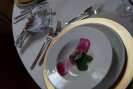 dsc03524a.jpg