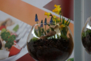 dsc03581.jpg