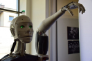 dsc_1179_robot.jpg