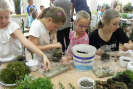 dscn1460.jpg