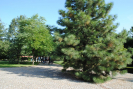dsc_0408.jpg