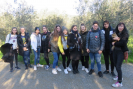img_7488.jpg