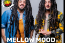 mELLOW mOOD 1_Fotor