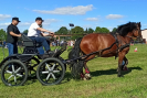 IMG_20220807_161810