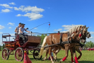 IMG_20220807_161738
