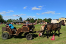 IMG_20220807_161255
