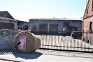 DSC_990001 (270).JPG