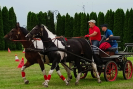 IMG_20230827_160416.jpg