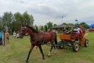 IMG20230827154557.jpg