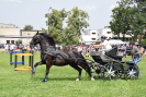 DSC_0069.JPG