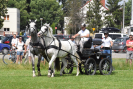 DSC_0152.JPG
