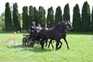 DSC_0013.JPG