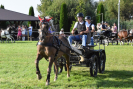 DSC_0066.JPG
