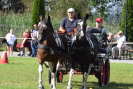 DSC_1067.JPG