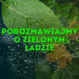 Porozmawiajmy o zielonym ładzie