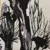 Młodzi plastycy z MDK wyróżnieni