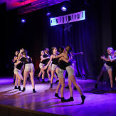 „Gwiazdka dla zwierzaka” w MDK