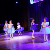 „Gwiazdka dla zwierzaka” w MDK