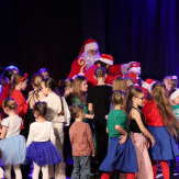 „Gwiazdka dla zwierzaka” w MDK