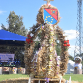 Podziękowanie za rolniczy trud