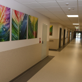 Nowa geriatria w Ostrowie