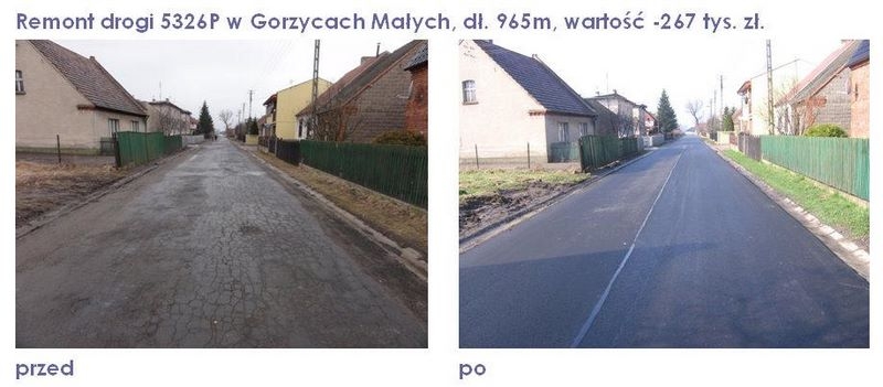 * gorzyce_male.jpg