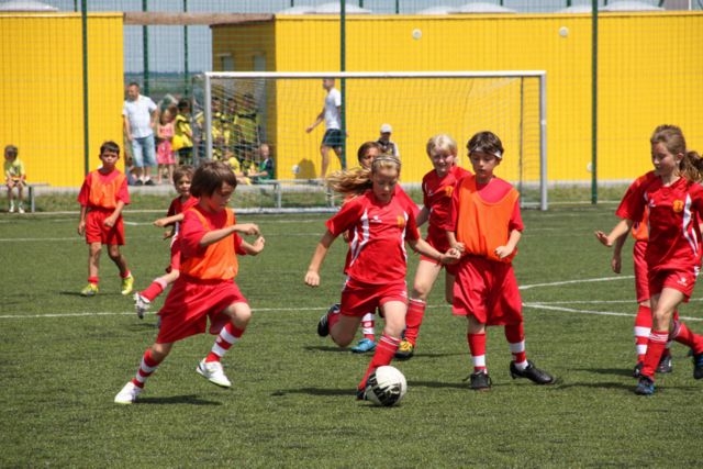 * img_7813.jpg