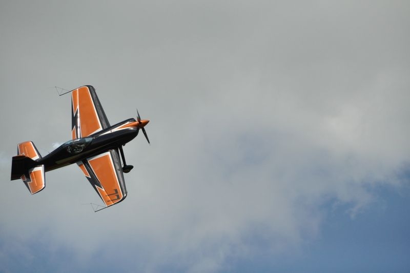 * dsc_0603.jpg