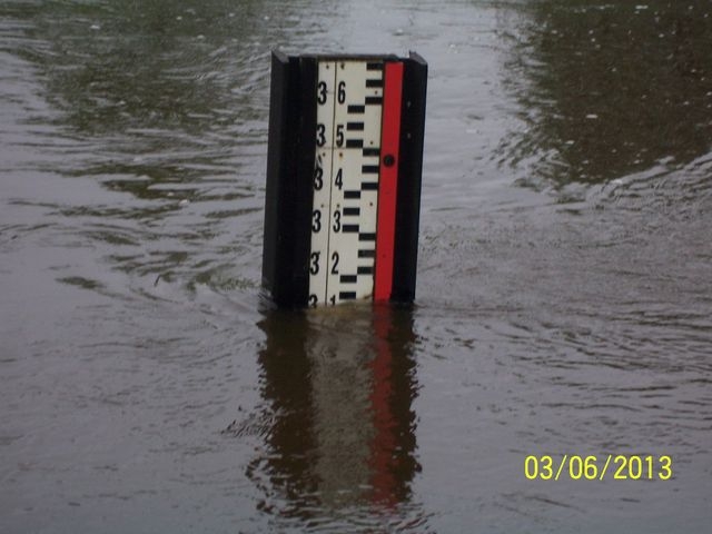 * 100_0969.jpg