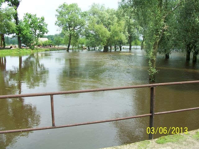* 100_0978.jpg