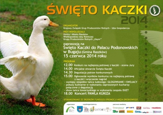 * kaczka_k