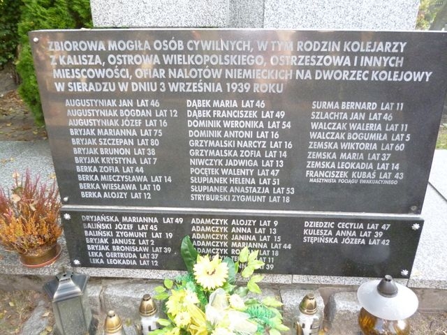* p1020719.jpg