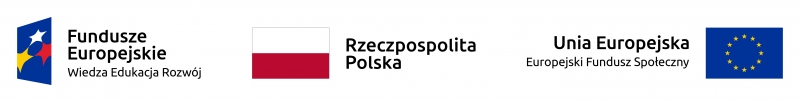 * FE_POWER_poziom_pl-1_rgb