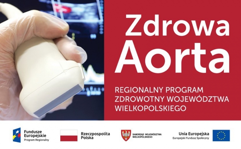 * zdrowa aorta