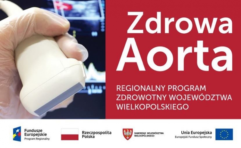 * zdrowa aorta