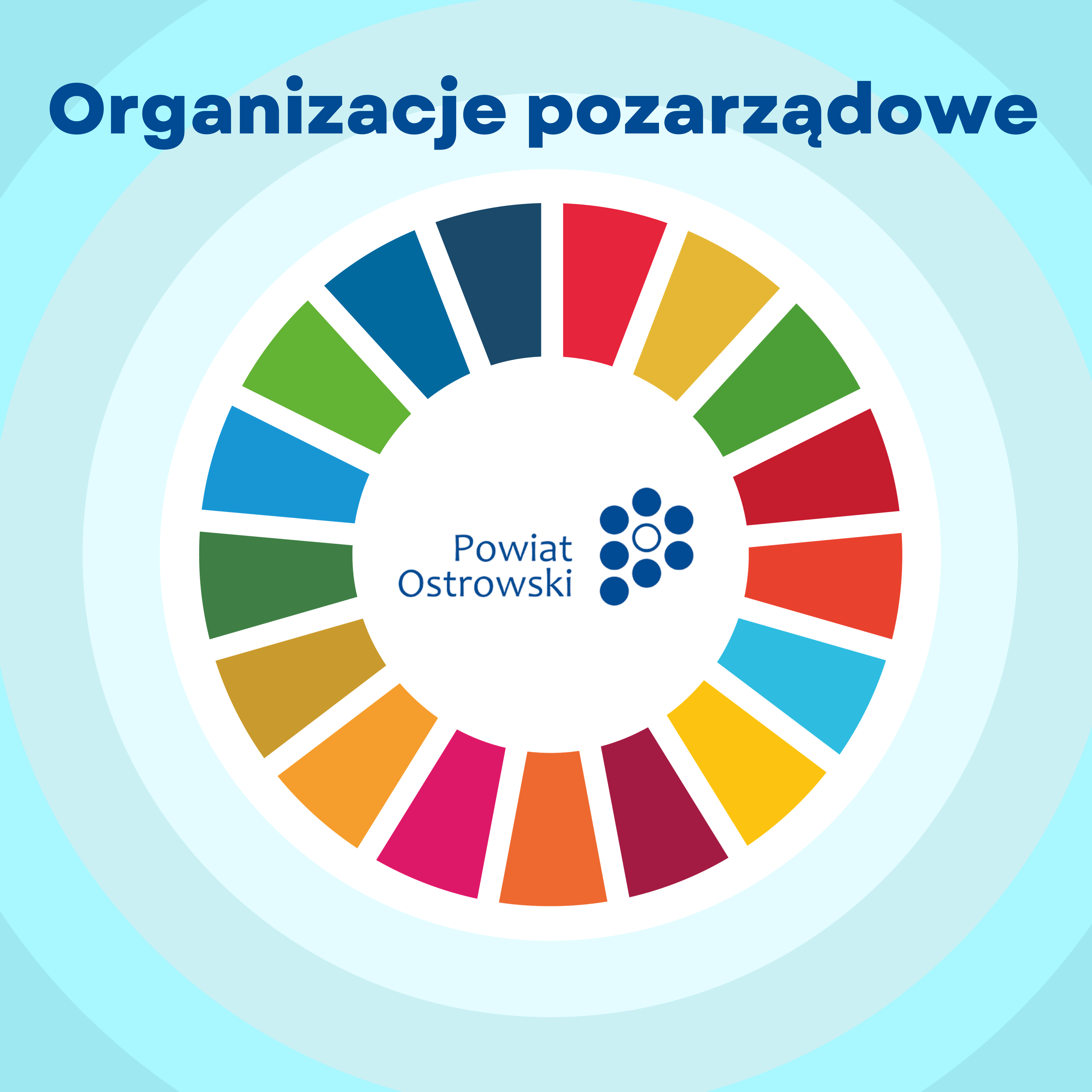* Organizacje pozarzÄ…dowe